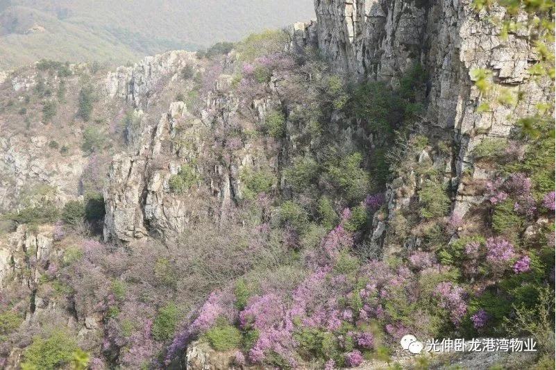 必发7790(中国区)电子集团-线上平台登录入口