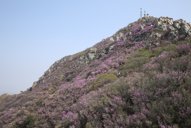 必发7790(中国区)电子集团-线上平台登录入口