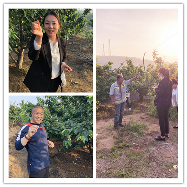 必发7790(中国区)电子集团-线上平台登录入口