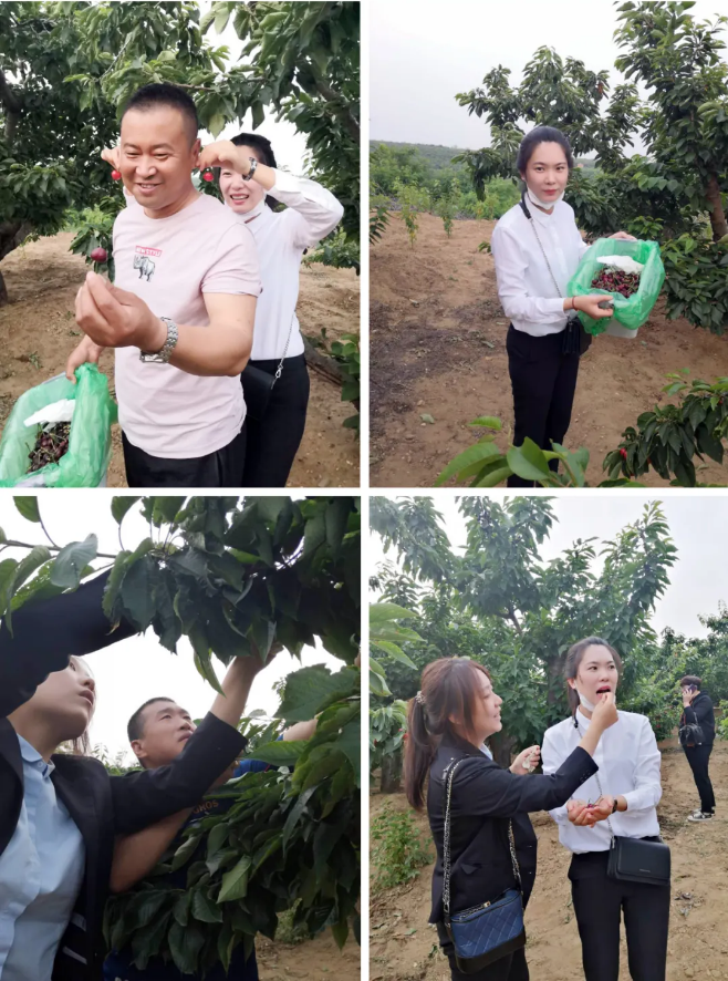 必发7790(中国区)电子集团-线上平台登录入口